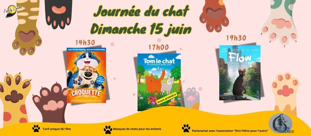 actualité journee chat